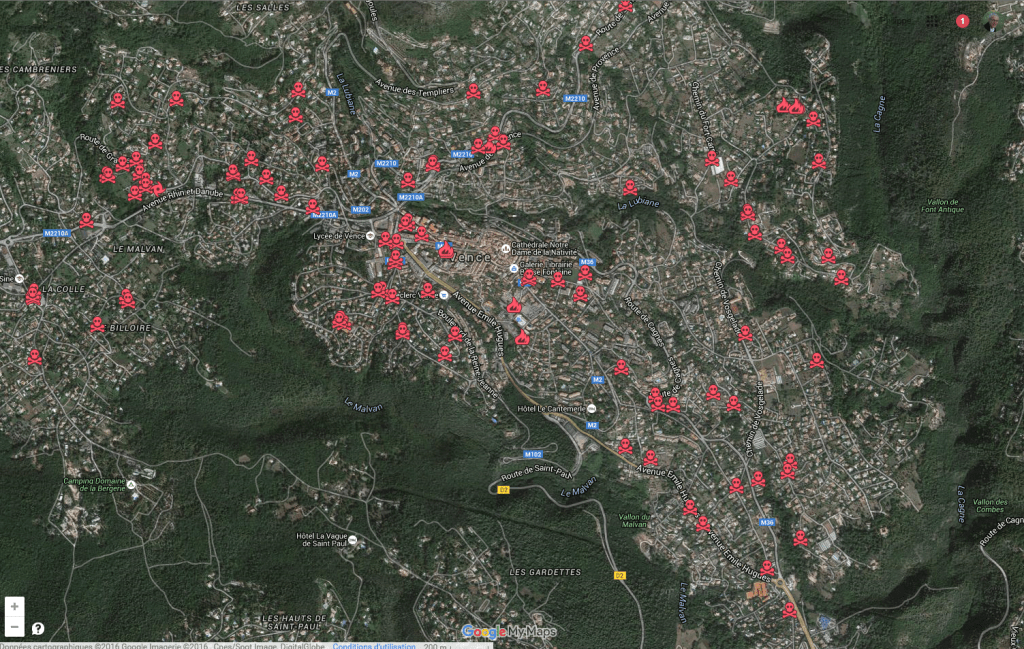 Palmiers infestés 01