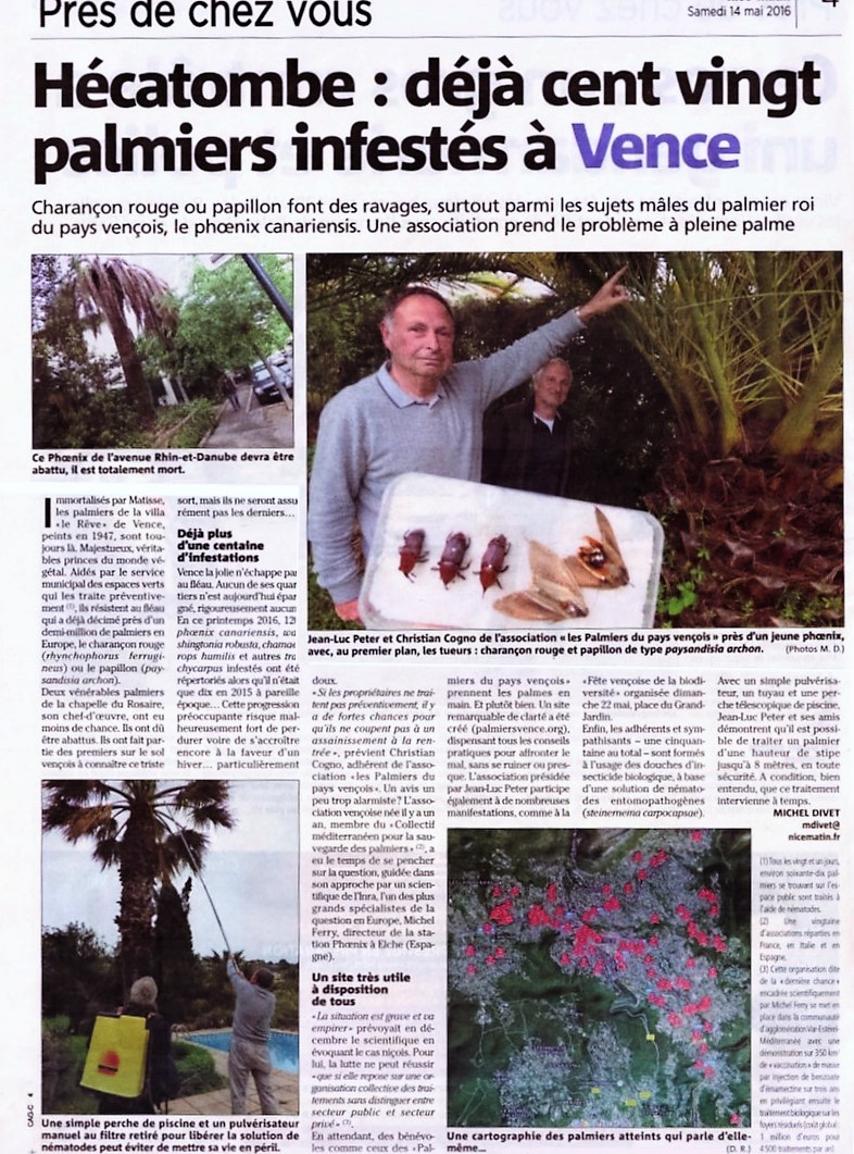 Nice-Matin (3)