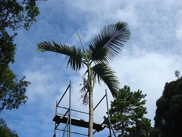 Post-566-1238842567Couvet