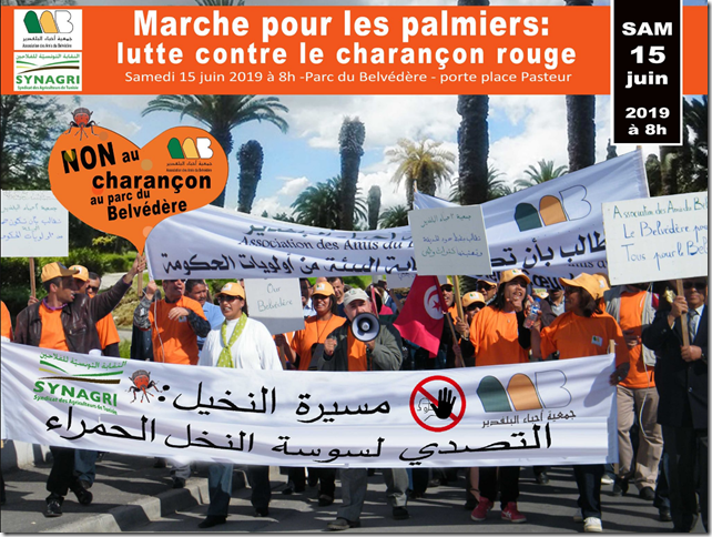 marche collectif 4C tunis